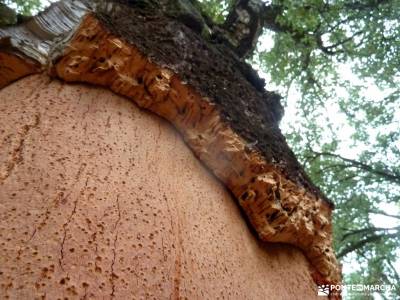 El Bierzo;Busmayor;León;actividades aire libre visitas cerca de madrid el salto del gitano